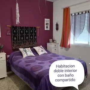 https://lo-flamenc-amposta.catalonia-hotels.com