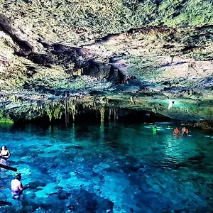 En La Selva De Tulum