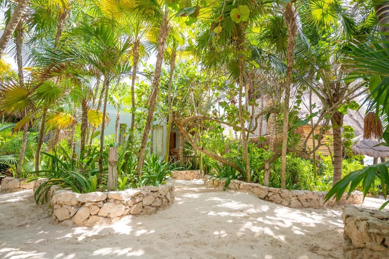 Ahau Tulum - Beachfront Hotel (Adults Only)